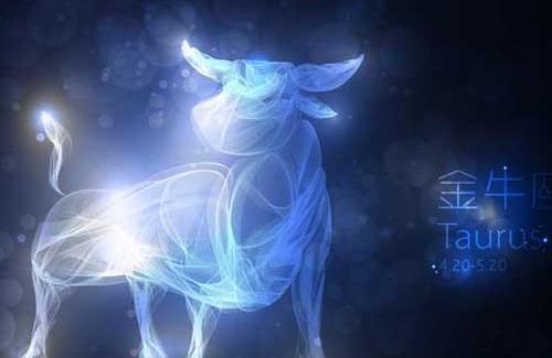 金牛男喜欢一个人时会有哪些表现？如何识别金牛男的爱意？  第2张