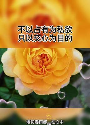 蓝颜知己的标准是什么？  第2张