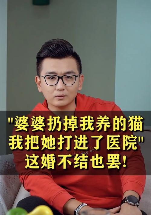 老公因婆婆要离婚怎么办？如何处理家庭矛盾？  第2张