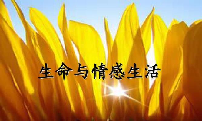 女神计划：女人应修养的7种气质是什么？如何培养？  第3张