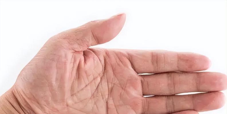 女性掌纹的秘密全图解是什么？如何解读掌纹中的信息？  第2张
