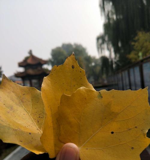 人应该怎样活着才有意义？如何找到生活的真正意义？  第3张