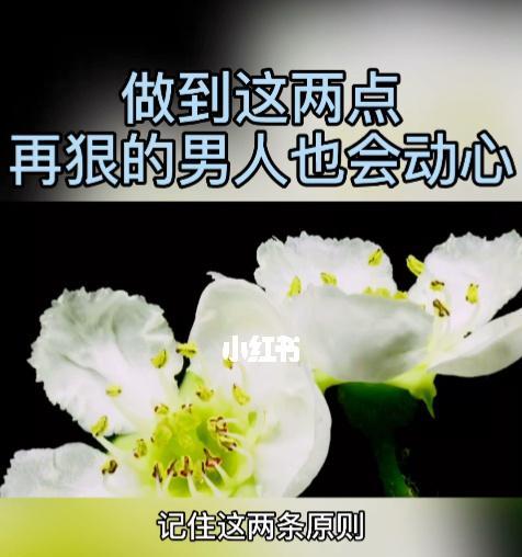 如果不爱了还有什么办法挽回？感情修复的可能与方法探讨  第1张