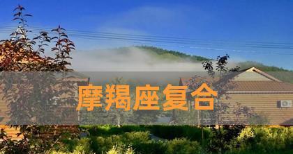 如何挽回一个摩羯男？挽回摩羯男的正确方法是什么？  第1张