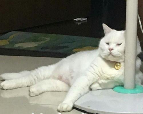 如何做才能快速告别单身？有效提升个人魅力的秘诀是什么？  第3张