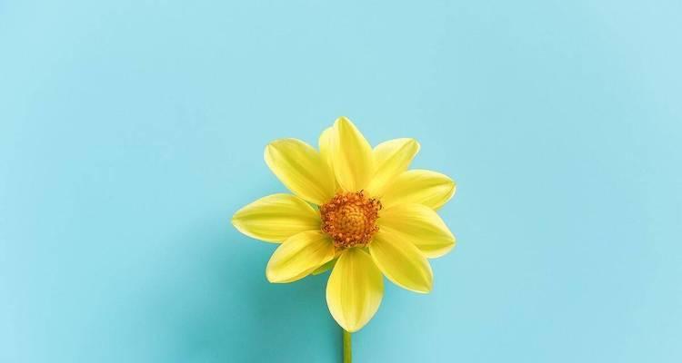 如何做到自我接纳？自我接纳的五个步骤和常见误区是什么？  第3张
