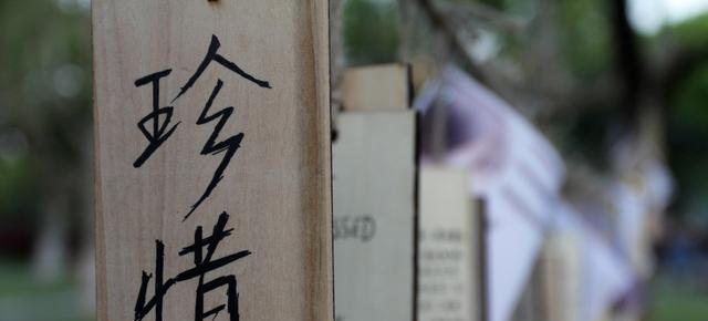 分手后如何实现互补不打扰的生活方式？往后余生的句子有哪些？  第1张