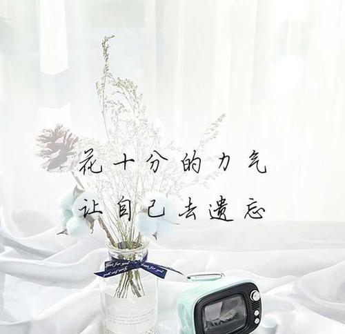 分手后如何用八十九句挽回句子打动对方？  第3张