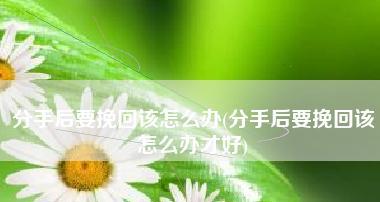 分手后挽回女友的方法都有哪些呢？有效策略是什么？  第3张
