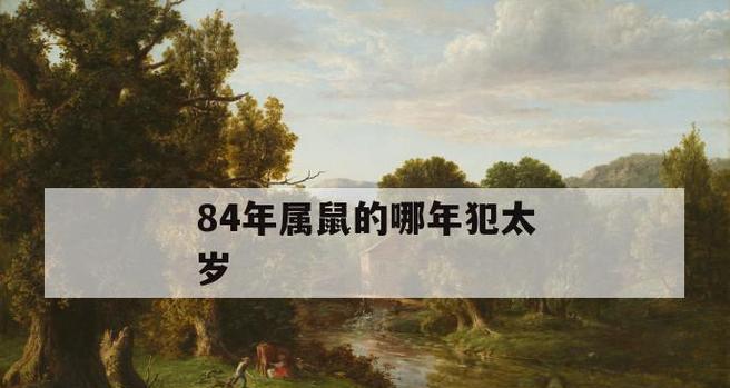 84年属鼠人婚姻破裂今年能挽回吗？如何挽救婚姻危机？  第1张