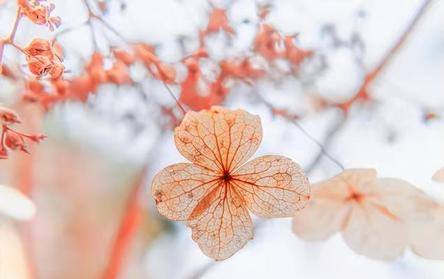 不能相爱的两个人是否应该保持联系？如何处理这种关系？  第3张
