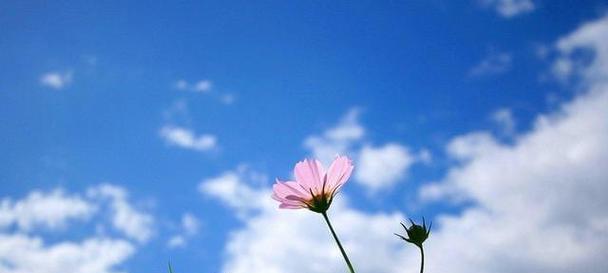 分手后哪些行为会严重阻碍复合？如何避免这些行为？  第1张