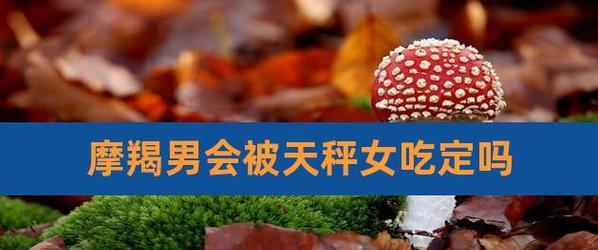 2023年摩羯男和天秤女复合的可能性有多大？  第1张