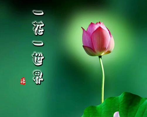 夫妻感情不和怎么办？听听佛学大师怎么说吧？  第2张