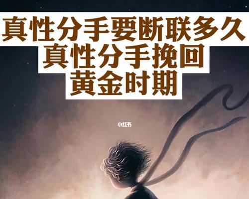 分手后如何挽回断联的爱情？有效方法有哪些？  第2张