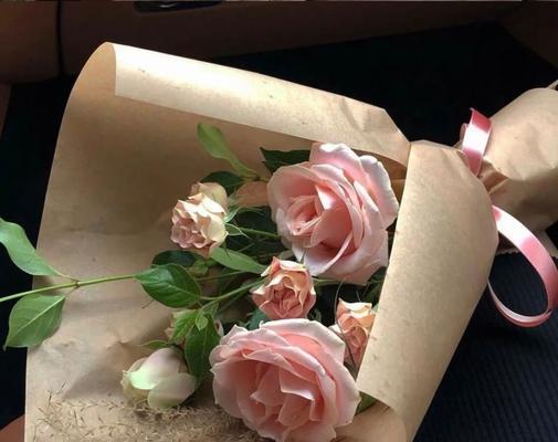 如何用文案表达彻底死心放弃的情感？有哪些高质量的文案示例？  第1张