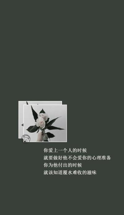 抖音情感挽回粉怎么用？有效提升粉丝互动率吗？  第2张