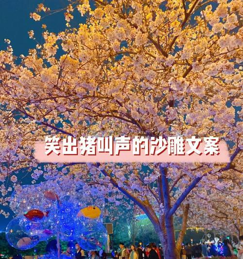 如何挽回沙雕的女生？挽回过程中常见的问题有哪些？  第1张