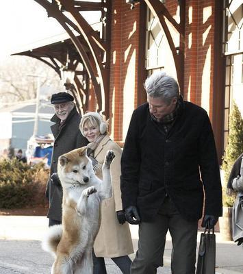 如何挽回忠犬式男友？挽回过程中常见的问题有哪些？  第3张