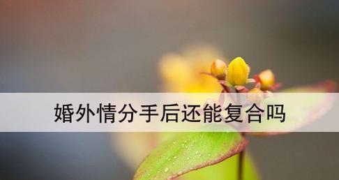 婚外情人如何轻松结束关系？分手的正确步骤是什么？  第2张