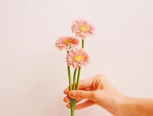 如何用暖心话安慰失去亲人的朋友？  第1张