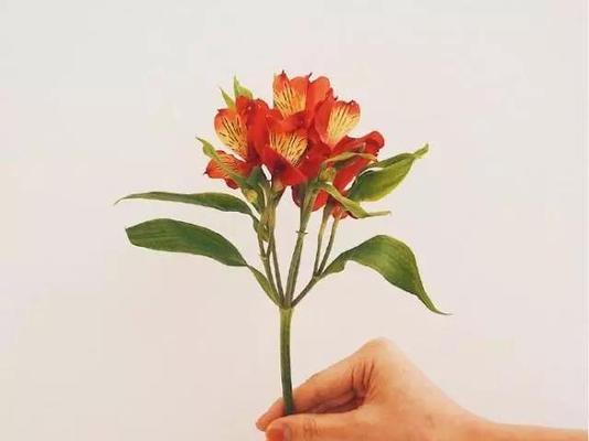 如何用暖心话安慰失去亲人的朋友？  第3张