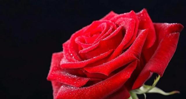 如何测试你对婚姻的信任度有多高？婚姻信任度测试的常见问题解答  第1张
