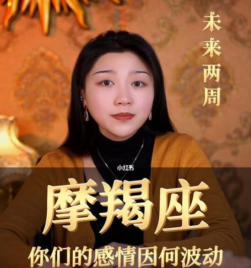 摩羯座和摩羯座分手后如何挽回？有效方法有哪些？  第3张