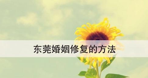 发生婚姻危机时怎么拯救婚姻？有效沟通和咨询的步骤是什么？  第3张