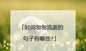 感慨时光流逝的句子有哪些？如何用句子表达对时间的感慨？  第3张