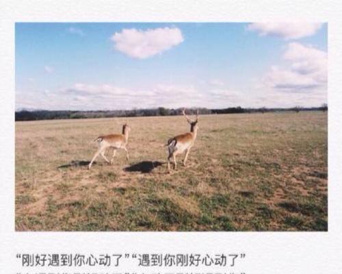 如何用简短的情话挽回婚姻？有效的话语有哪些？  第2张