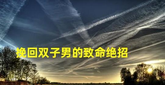 如何挽回双子座的心？双子座挽回攻略有哪些常见问题？  第3张