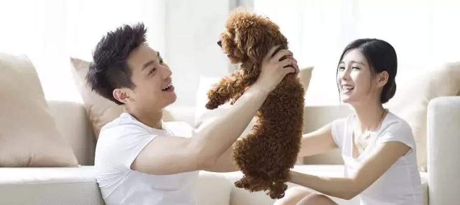 分手后如何二次吸引？有效方法和策略是什么？  第2张