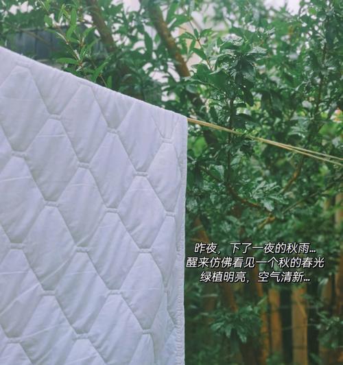 和男朋友没话说想分手怎么办？学会这几招轻松解决沟通难题？  第1张