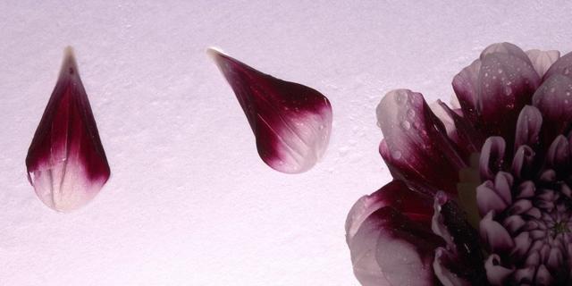 分手前垂死挣扎是什么意思？如何理解这一心理现象？  第3张