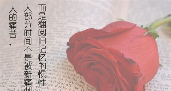 15个句子教你如何挽回爱情（15个句子教你如何挽回爱情）  第1张