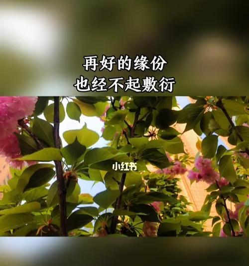 感情让人盲目？如何应对常见分手类型并挽回爱情？  第1张