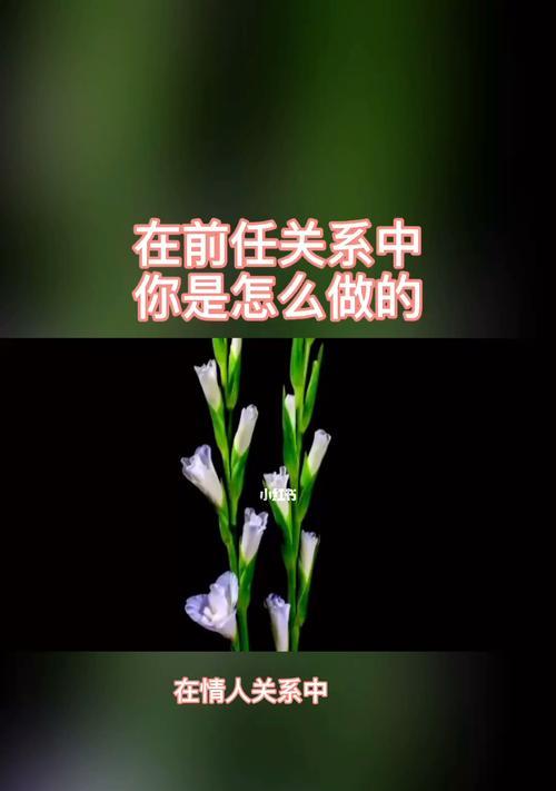 坚决分手男人VS女人，谁更能代表真正的坚定（以累了为由坚决分手）  第1张