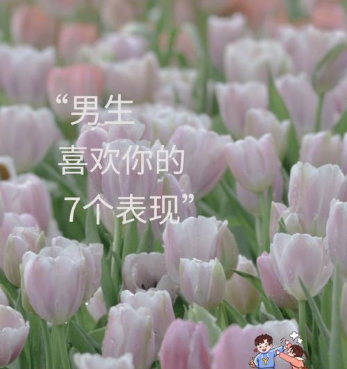 男生喜欢你和爱你的区别是什么？如何识别他的真实感情？  第2张