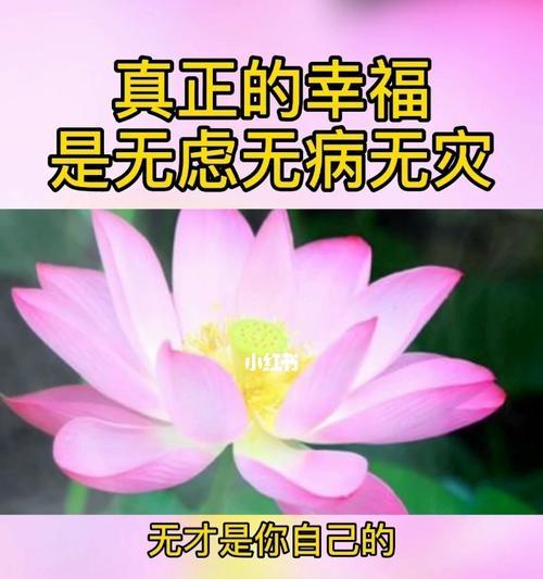 花镇情感如何让家庭更幸福？常见问题解答？  第1张