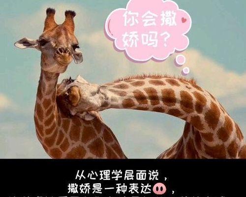不会谈恋爱那你会撒娇吗？撒娇技巧如何提升恋爱关系？  第2张