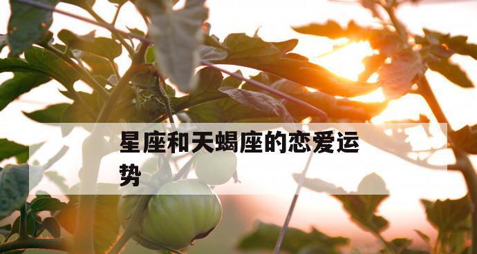 处女座男生谈恋爱时对另一半的态度和行为表现是怎样的？  第1张