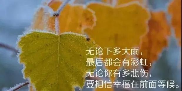 如何通过朋友圈挽回爱情？正确建设朋友圈的技巧是什么？  第3张