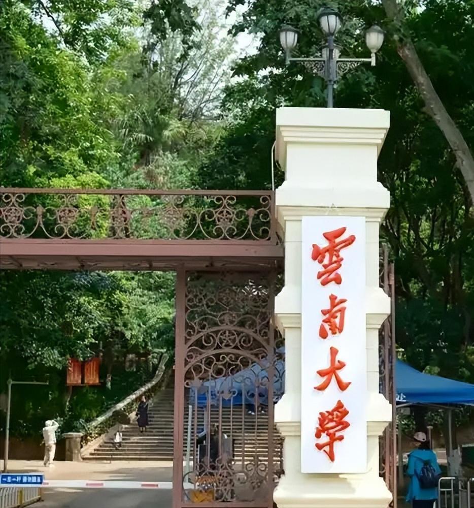 “不录取又何必羞辱我”！女孩被云南大学3字劝退，瞬间破防崩溃  第5张