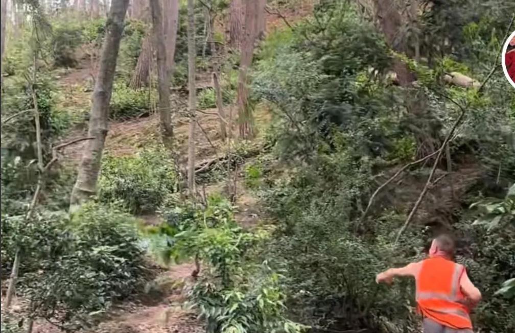 景区环卫工遭羞辱后续，对方手指老人践踏尊严，前科被扒心虚退网  第2张