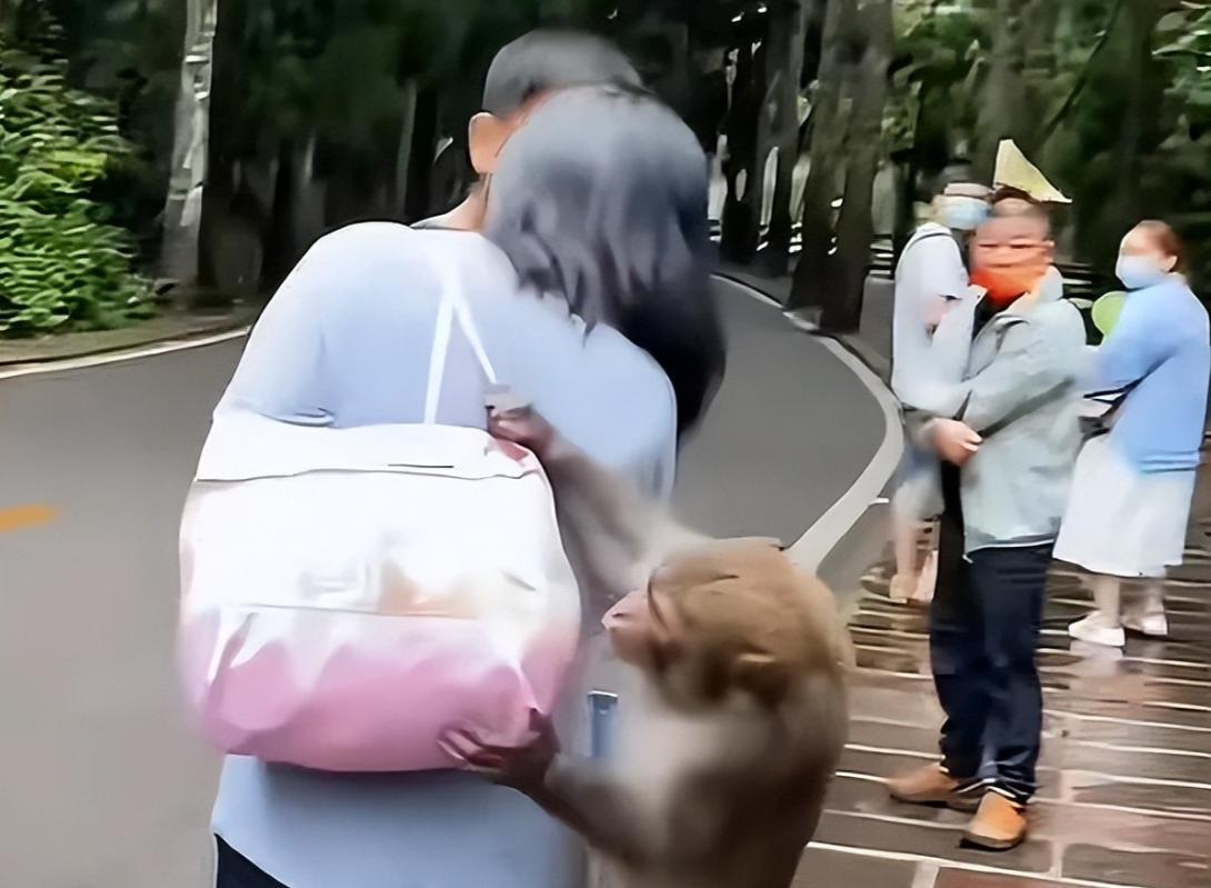 景区环卫工遭羞辱后续，对方手指老人践踏尊严，前科被扒心虚退网  第9张