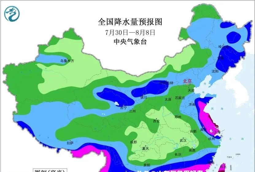 明日台风来袭！分析:山东多地将有大到暴雨，这场雨到底有多大？  第9张