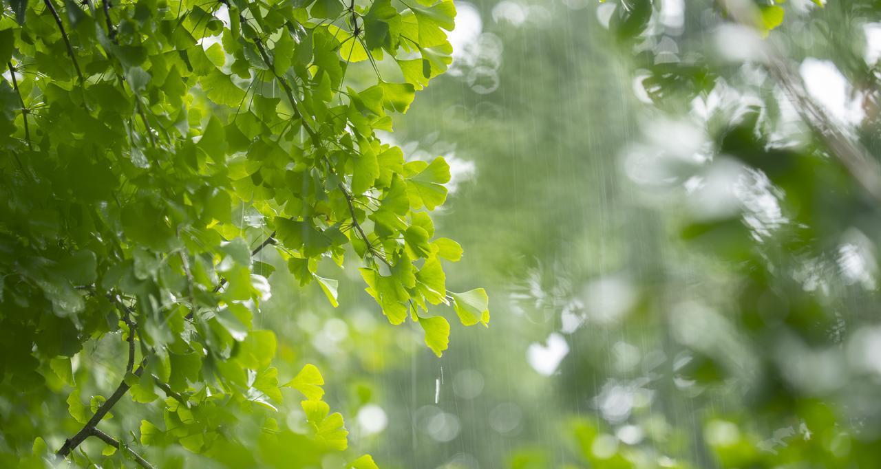 新一轮强降雨范围已定！今天夜间至8月1日天气预报，暴雨分布如下  第7张