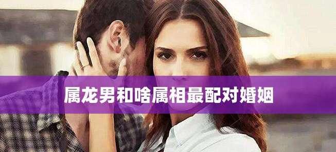 十二生肖婚姻配偶怎么才最好?如何根据生肖选择最佳配偶? 第1张 十二生肖婚姻配偶怎么才最好?如何根据生肖选择最佳配偶? 第1张