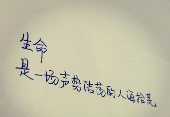 选择用于道歉挽回的花有哪些讲究？如何正确表达歉意？  第2张